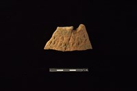 陶片藏品圖，第1張